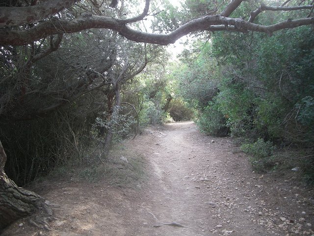 La ruta Camí de Cavalls recorre toda la costa de Menorca. Foto de Eladio Anxo Fernández.